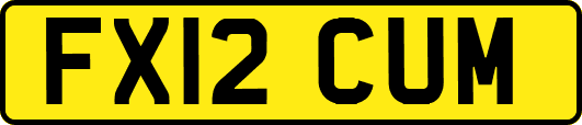 FX12CUM
