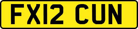 FX12CUN