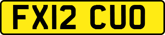 FX12CUO
