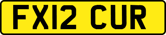 FX12CUR