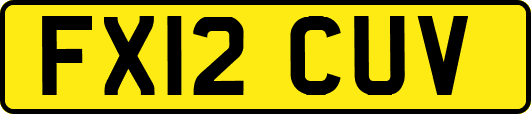 FX12CUV