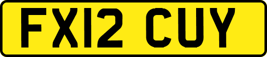 FX12CUY
