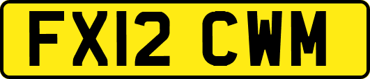 FX12CWM