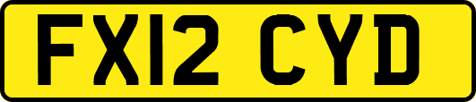 FX12CYD
