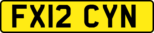FX12CYN