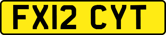 FX12CYT