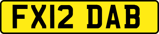 FX12DAB