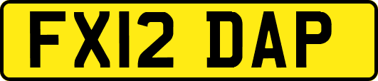FX12DAP