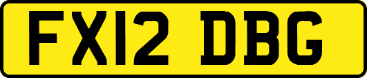 FX12DBG
