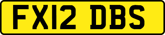 FX12DBS
