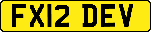 FX12DEV