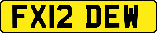 FX12DEW