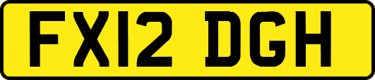 FX12DGH
