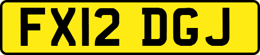 FX12DGJ
