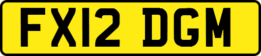 FX12DGM