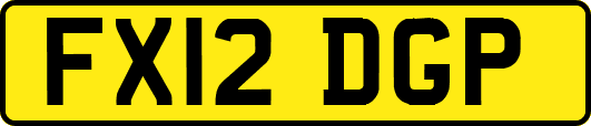 FX12DGP