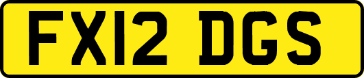 FX12DGS