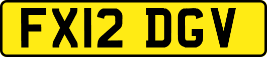 FX12DGV