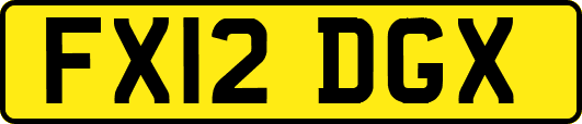 FX12DGX
