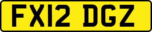 FX12DGZ
