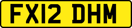 FX12DHM