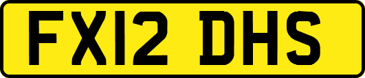 FX12DHS