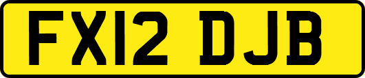 FX12DJB