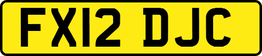 FX12DJC