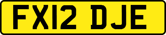FX12DJE