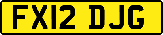 FX12DJG
