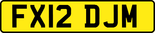 FX12DJM
