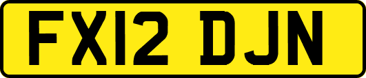 FX12DJN