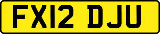 FX12DJU