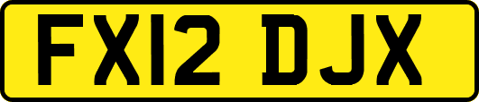 FX12DJX
