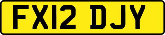 FX12DJY