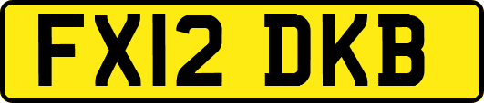 FX12DKB