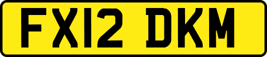 FX12DKM