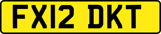 FX12DKT