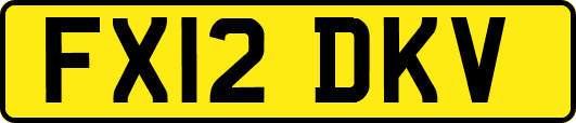 FX12DKV
