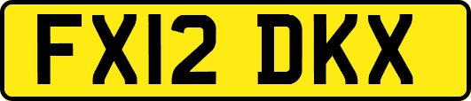 FX12DKX