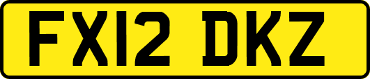 FX12DKZ