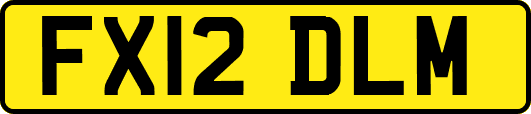 FX12DLM