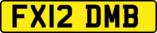 FX12DMB