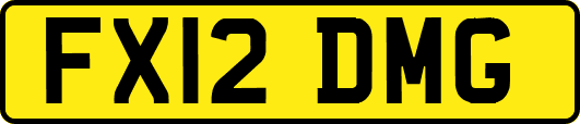 FX12DMG