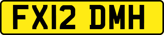 FX12DMH