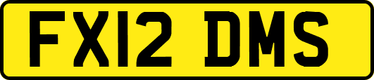 FX12DMS