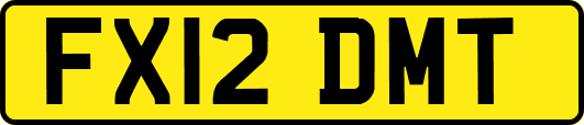 FX12DMT
