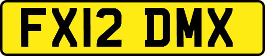 FX12DMX