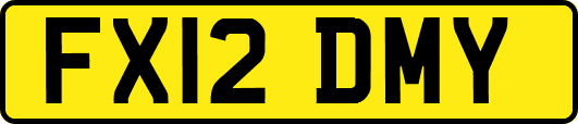 FX12DMY