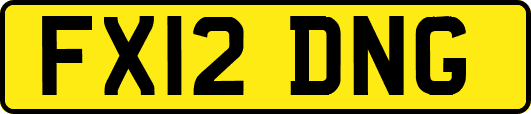 FX12DNG